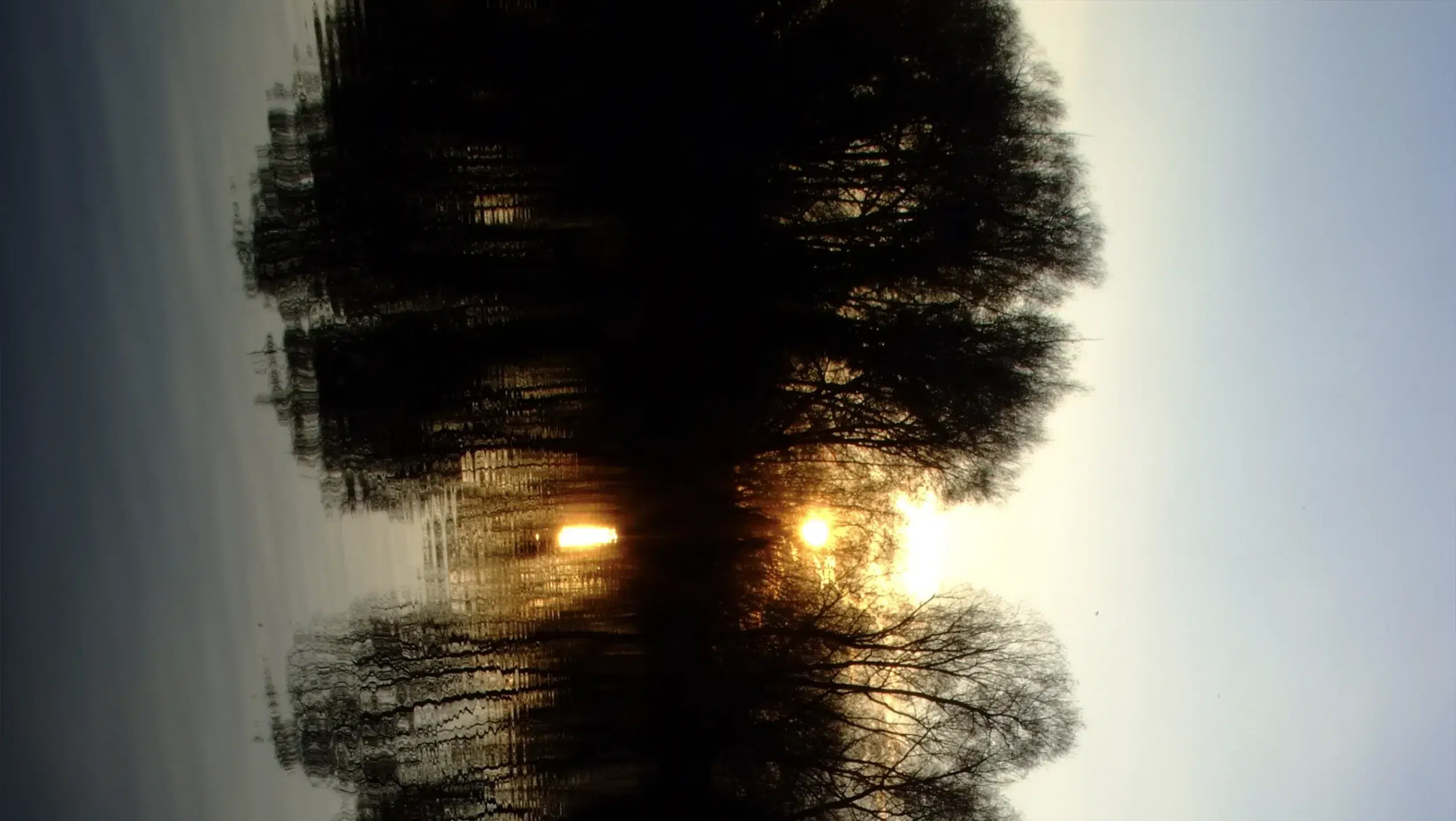 Image hover effect image