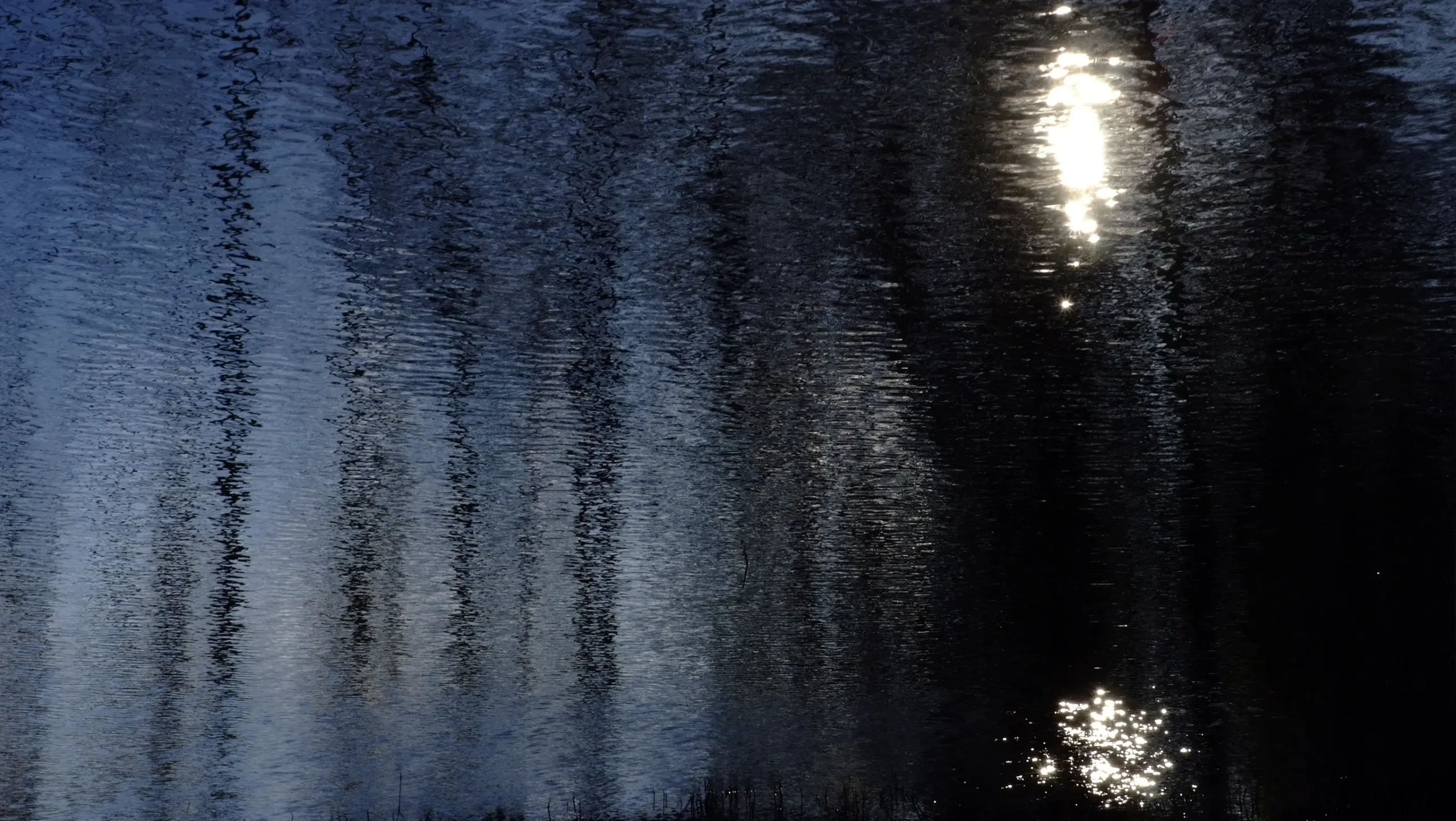 Image hover effect image