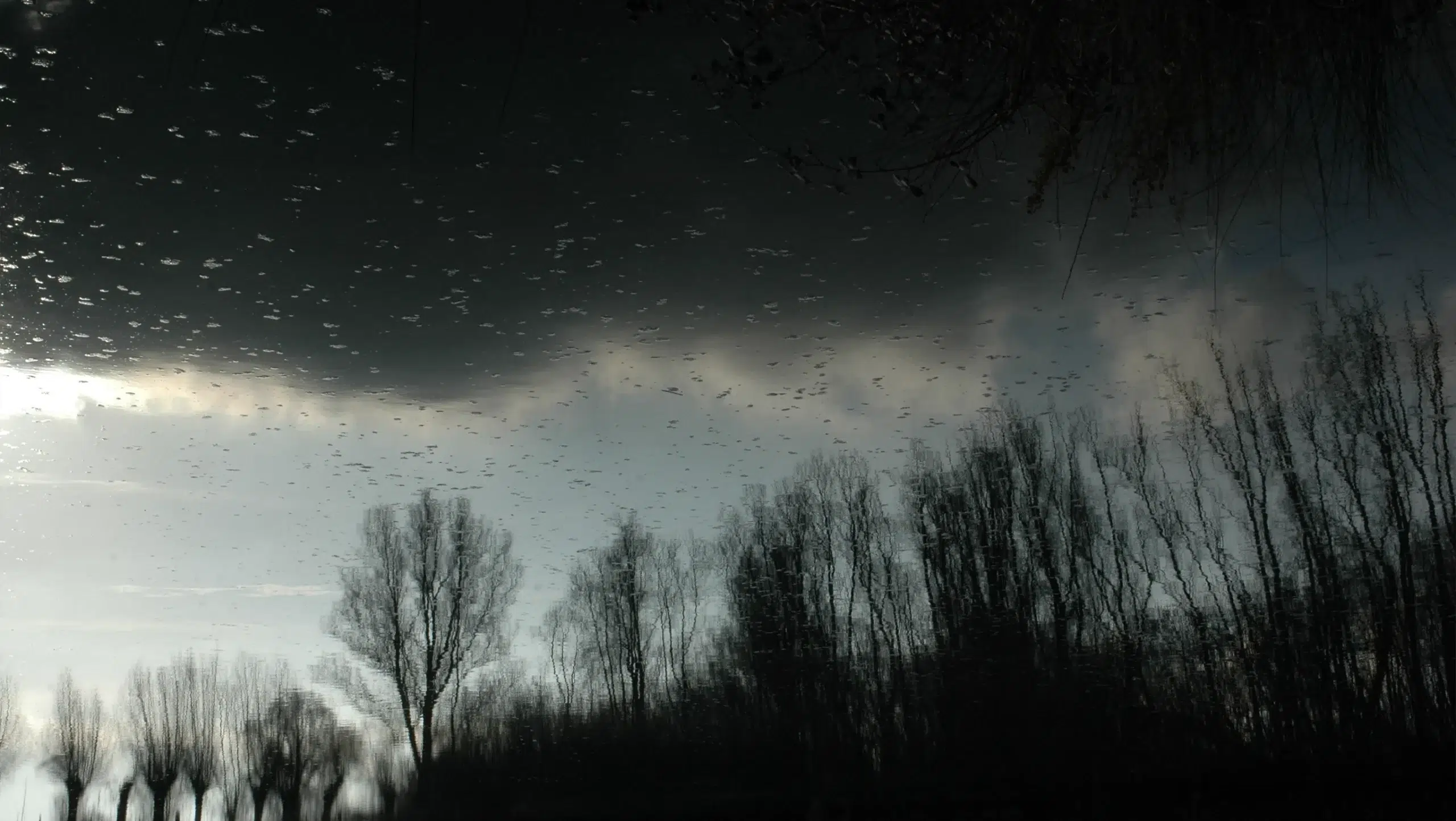Image hover effect image