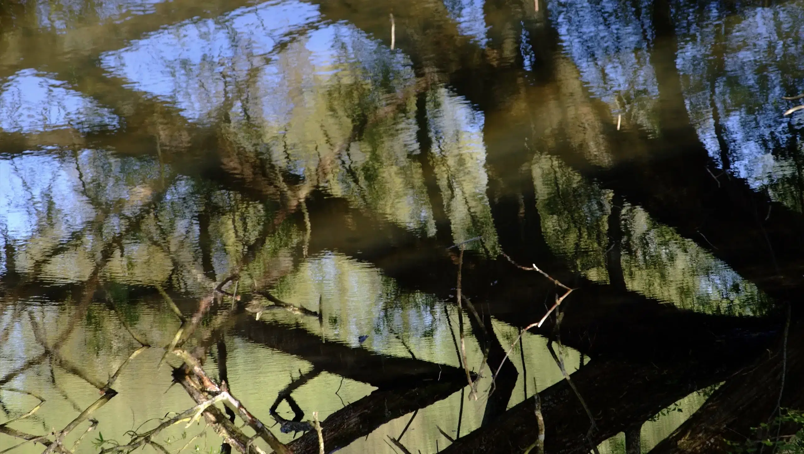 Image hover effect image